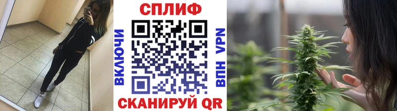 KRAKEN онион  Истра  Марихуана индика 